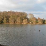 Brittens Pond, Guildford, wheelchair walk